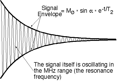 Free Induction Decay (FID) according to simplyphysics.com. FID is